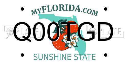 Q00TGD Florida License Plate