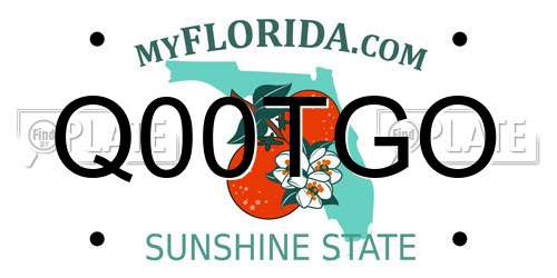 Q00TGO Florida License Plate