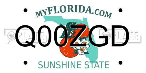 Q00ZGD Florida License Plate