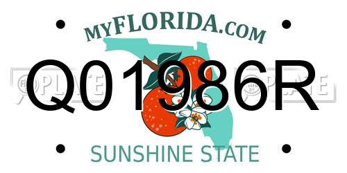 Q01986R Florida License Plate