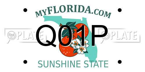Q01P Florida License Plate