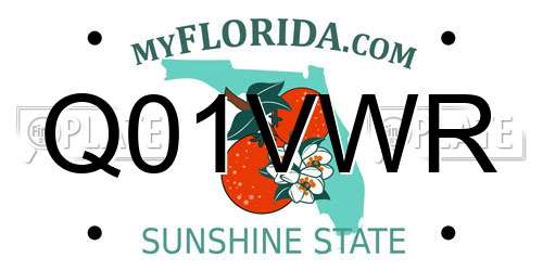 Q01VWR Florida License Plate