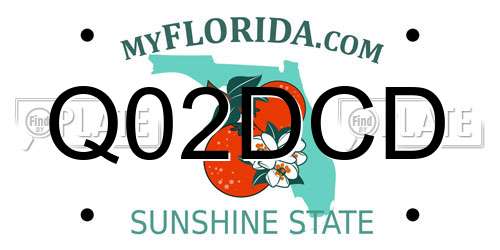 Q02DCD Florida License Plate