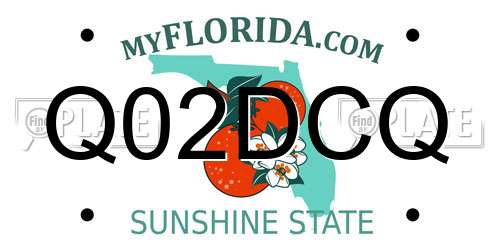 Q02DCQ Florida License Plate
