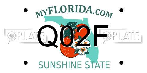 Q02F Florida License Plate