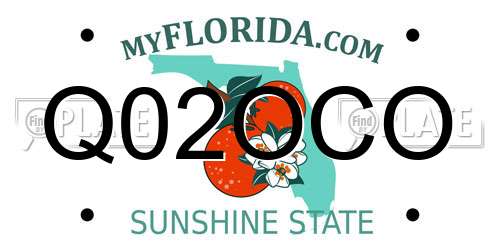 Q02OCO Florida License Plate