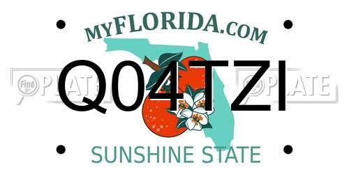 Q04TZI Florida License Plate