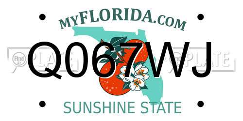 Q067WJ Florida License Plate