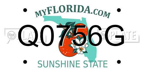 Q0756G Florida License Plate