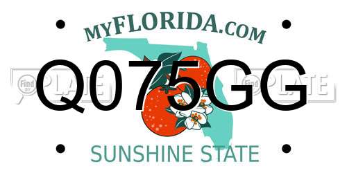 Q075GG Florida License Plate