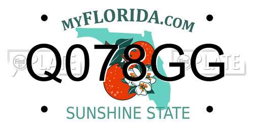 Q078GG Florida License Plate