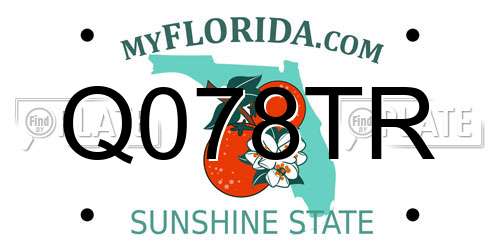Q078TR Florida License Plate