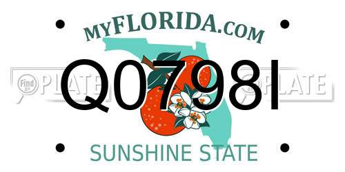 Q0798I Florida License Plate