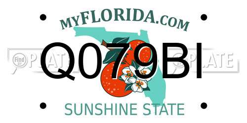Q079BI Florida License Plate