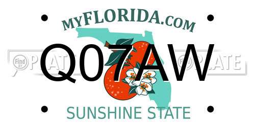 Q07AW Florida License Plate