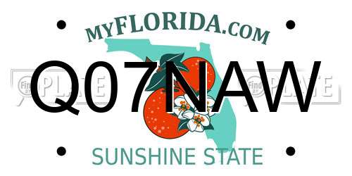Q07NAW Florida License Plate