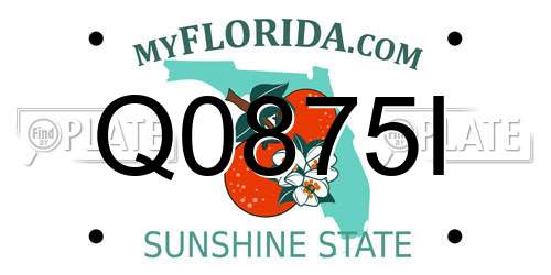 Q0875I Florida License Plate