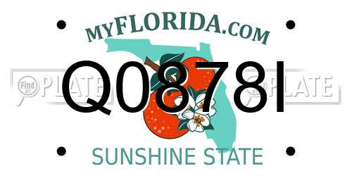 Q0878I Florida License Plate
