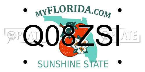 Q08ZSI Florida License Plate