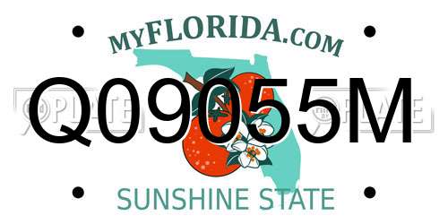 Q09055M Florida License Plate