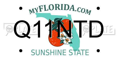 Q11NTD Florida License Plate