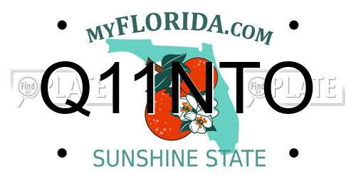 Q11NTO Florida License Plate
