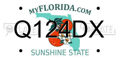 Q124DX Florida License Plate
