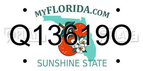 Q13619O Florida License Plate
