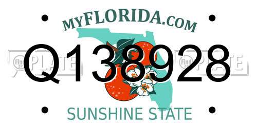 Q138928 Florida License Plate