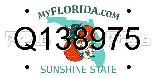 Q138975 Florida License Plate