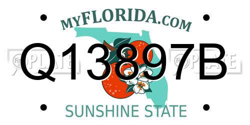 Q13897B Florida License Plate