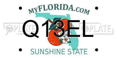 Q13EL Florida License Plate
