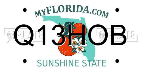 Q13HOB Florida License Plate