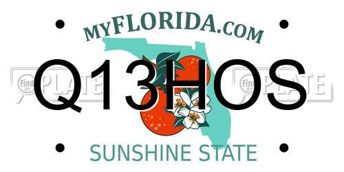 Q13HOS Florida License Plate
