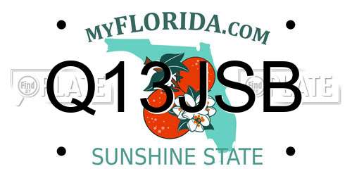 Q13JSB Florida License Plate