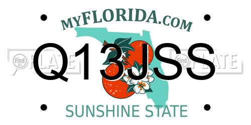 Q13JSS Florida License Plate