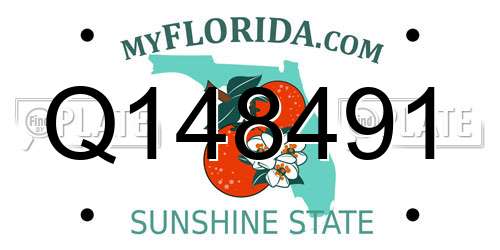 Q148491 Florida License Plate