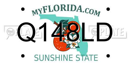 Q148LD Florida License Plate