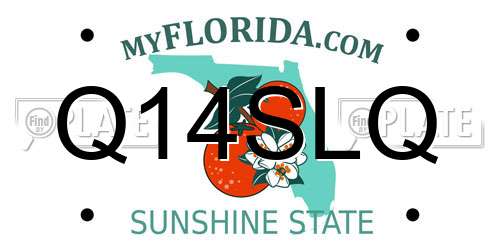Q14SLQ Florida License Plate
