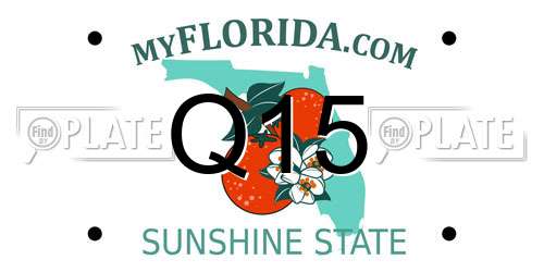 Q15 Florida License Plate