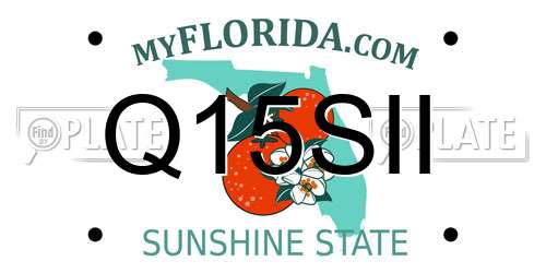 Q15SII Florida License Plate