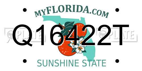 Q16422T Florida License Plate