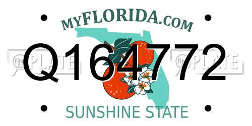 Q164772 Florida License Plate