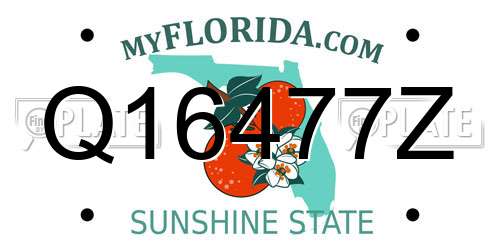 Q16477Z Florida License Plate