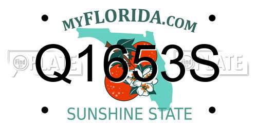Q1653S Florida License Plate