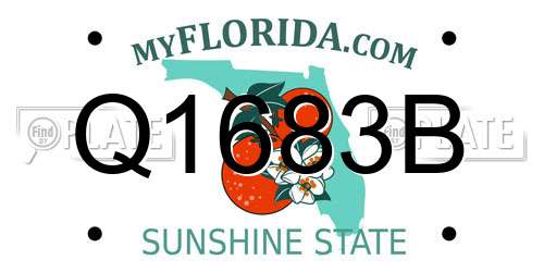 Q1683B Florida License Plate