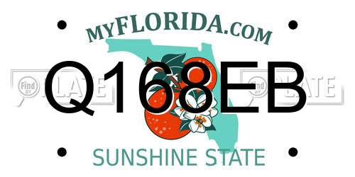 Q168EB Florida License Plate