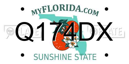 Q174DX Florida License Plate