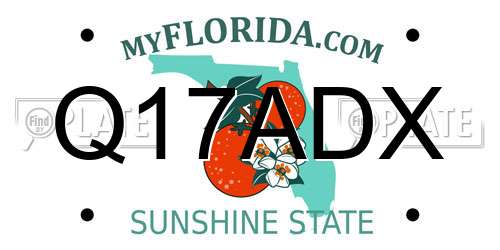 Q17ADX Florida License Plate