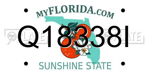 Q18338I Florida License Plate